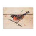 Wile E. Wood 15 x 11 in. Crousers Towhee Wood Art DCTOW-1511